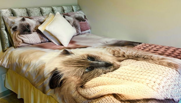 Luxurious and Cozy Apartment - Foto 5, Habitación