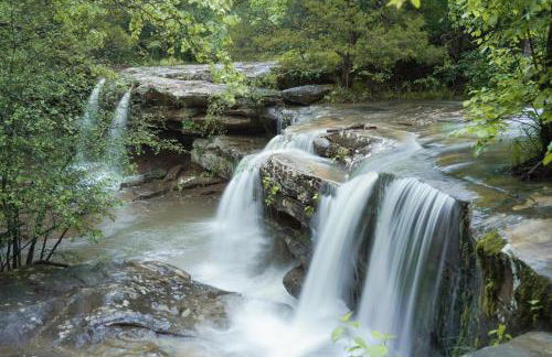 Family-Friendly 3BR Home w Bunk Room & Yard - Photo 52