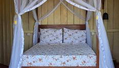 Premium Amazon Jungle Lodge - Foto 5