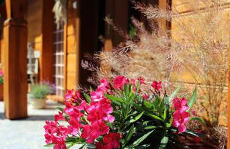 Sielsko-Anielsko centrum - Foto 7