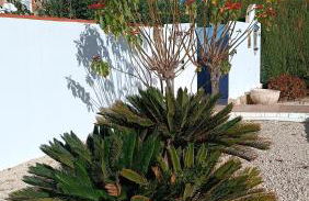 La Pergola - Photo 21