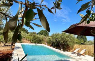Trulli Biancopumo - private pool - Foto 10