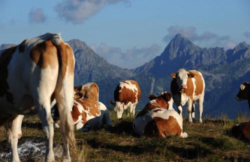 Aparthotel Wellness Villa di Bosco - Foto 69