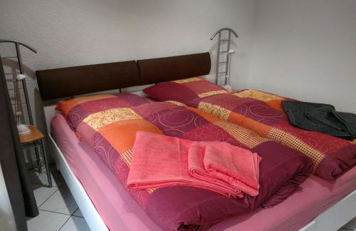 Zur alten Fahrschule - Foto 55