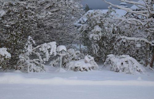 Gite le GINKGO 50 M2 - Foto 31