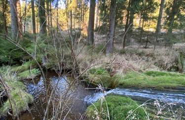 Berghaus Carlsfeld - Foto 28