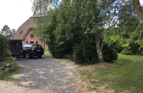 Reetdachhaus bei St Peter-Ording - Tating - Foto 32