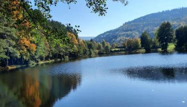 La clef des bois - cosy et calme au coeur de la nature - Foto 3