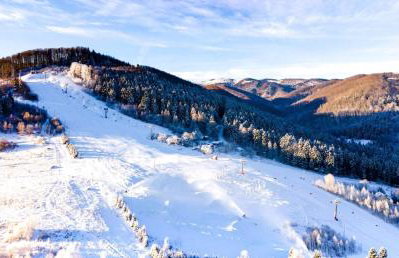 Willa Rogaś I - Foto 20