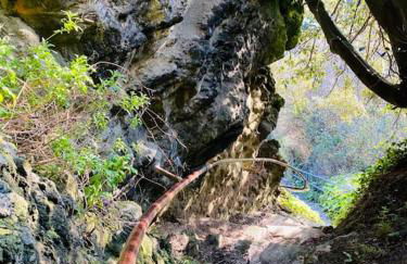 Peaceful Coastal Apartment - Foto 47