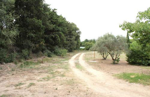 Le Petit Saint Trophime - Foto 15