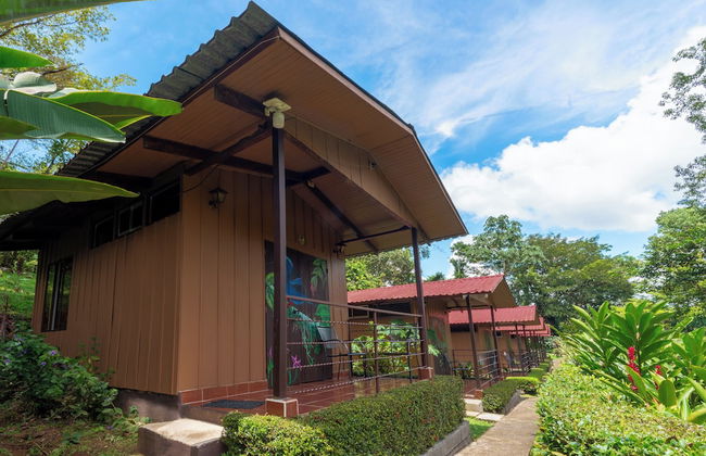 Villas Josipek - Photo 39