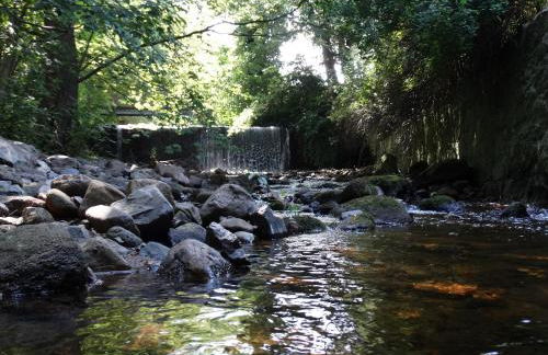 Haus Ilsegarten - Foto 8