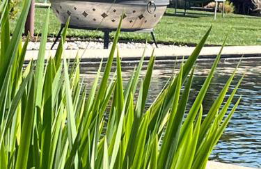 Agriturismo Corte Cea - Foto 8