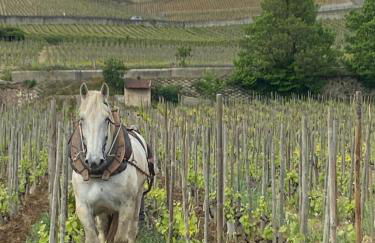 Le Pavillon de l'Hermitage - Spa ouvert d'Avril à Octobre - Foto 11