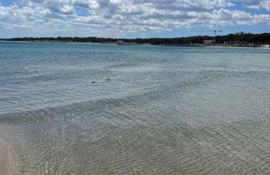 Vento del Mar Tramontana - Foto 34