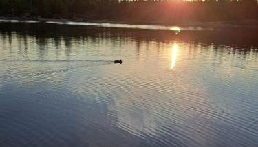 Dahls Ferienwohnung - Foto 4