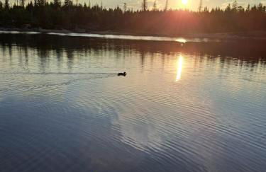 Dahls Ferienwohnung - Foto 4