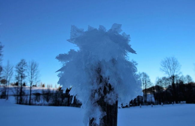Hochgrat View in Steibis, Haus Akelei - Photo 27