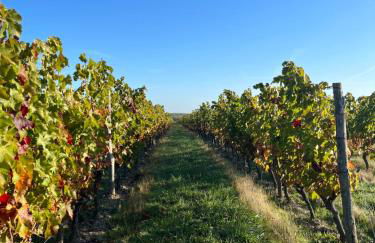 La grange d'Elise - Photo 44