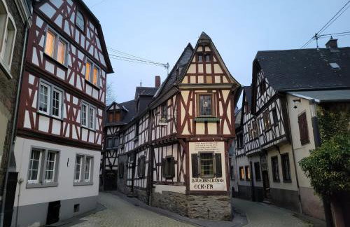 Rheinferien - Foto 21