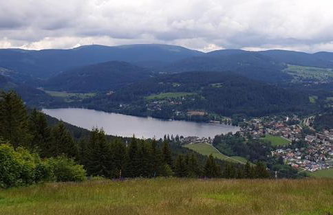 Friedolin im Bärenhüsli - Foto 31