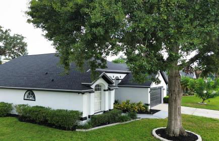 Pool house Best location in Wesley Chapel - Photo 8