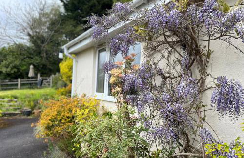 Exmoor View Wootton Courtenay - Foto 6