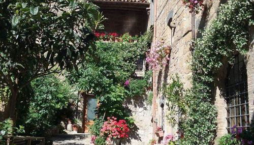 Gerani Rossi - Photo 4