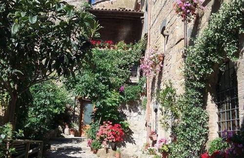 Gerani Rossi - Foto 4