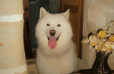 TORRE FUERTE Siglo XIII - Foto 54