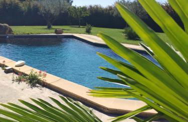 Mas de l'Olivier - Enclave des Papes - Visan - 8 couchages - Foto 14