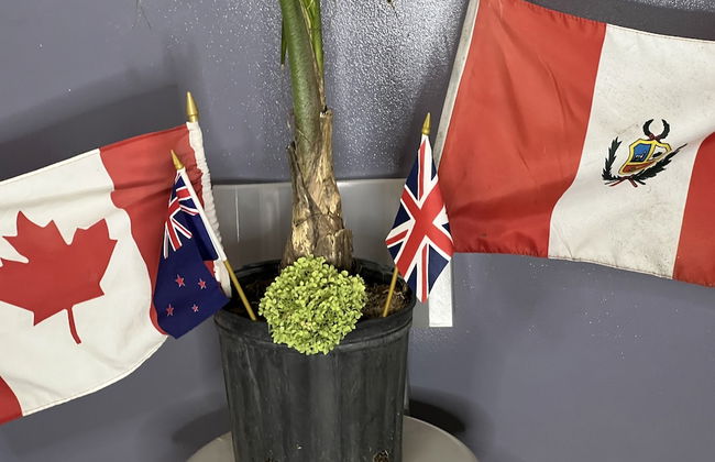 Pied-A-Terre Mont-Royal - Foto 43