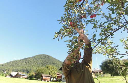 Mair am Graben Farm * Chalets - Foto 23