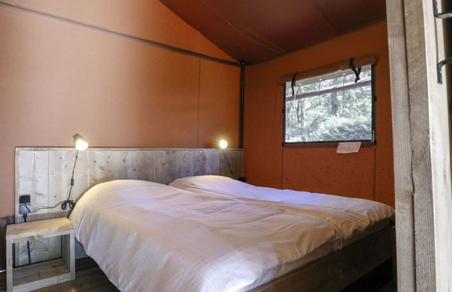 2 bedroom House in Otterlo with swimming pool and terrace - Photo 3