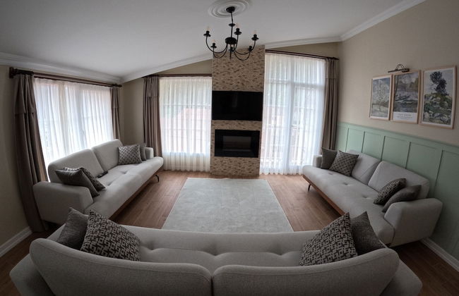 SUIT RABANDO - Photo 9