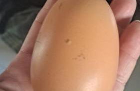 Serenità nella Natura - Foto 23