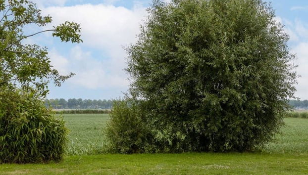 Charming House in the Greenery of De Haan - Foto 3, Habitación