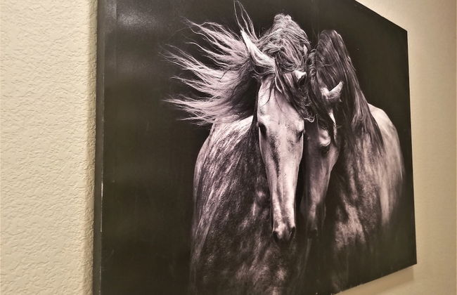 Peak Valley Manor, a Modern Farmhouse - Foto 56