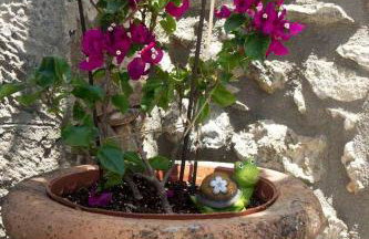 Riglia's Dream Catcher - Foto 37