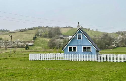 U Ewy pod Brzozami - Foto 1