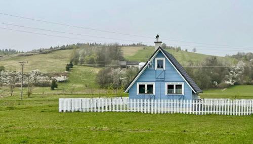 U Ewy pod Brzozami - Foto 1