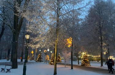 Le charme d'Alsace - Foto 15