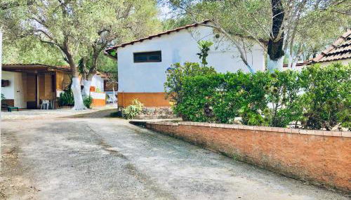 Blu Med - Photo 4, Garden