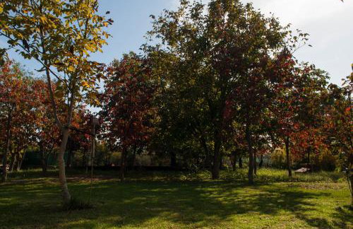 Sinanis Garden House - Foto 43