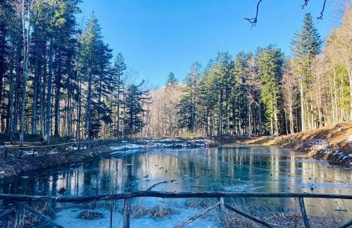 Appartamento Monolocale La mia Casina di Montagna - Foto 29