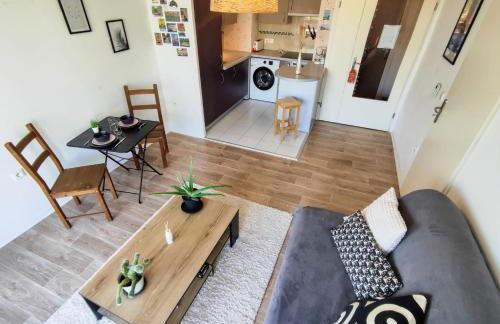 Le Salluste cosy T2 with balcony in Strasbourg - Foto 11