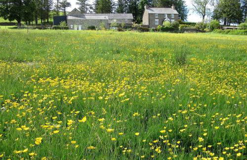 1 Bed in Ty Nant 52509 - Photo 17