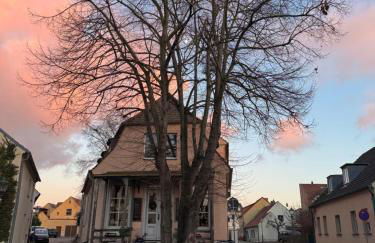 Südfrankreich bei Berlin - Photo 31