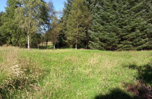 Cleeves Cabins, Ailsa Luxury Lodge With hot tub - Photo 41